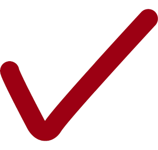 checkmark icon