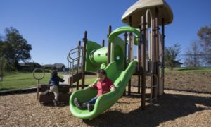 Playground set with a green slide and tunnel